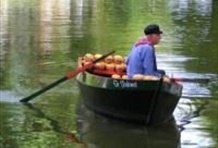 Dutch Masters & Marvels